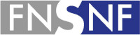 FNS logo